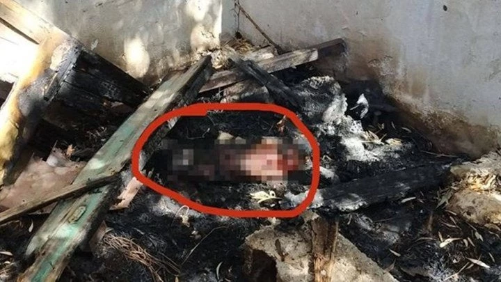 Φρίκη: Άγνωστοι έκαψαν ζωντανό σκυλί μέσα στο σπιτάκι του